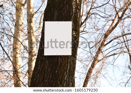 Blank white sign board nailed to a tree in the forest. Copy space for custom text.

