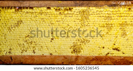 Sealed honeycomb background. Top view.