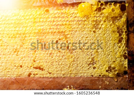 Sealed honeycomb background. Top view.