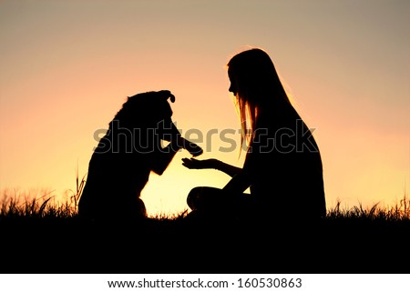 a girl is sitting outside in the grass, lovingly shaking hands with her German Shepherd dog, silhouetted against the sunsetting sky Royalty-Free Stock Photo #160530863
