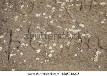 historic wall texture on background

