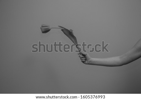 Black and white photo of woman's hand with tulip branch