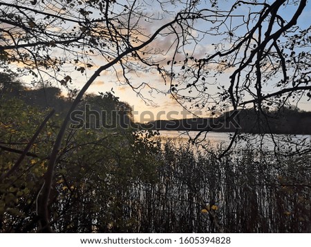 Pictures of Bygholm lake in Horsens, falltime