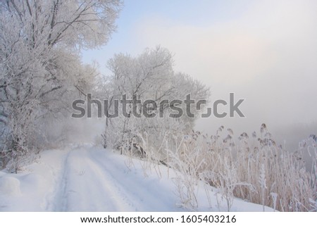 Scenic view of a river in winter.  Fog over the winter river. Hoarfrost on the branches.