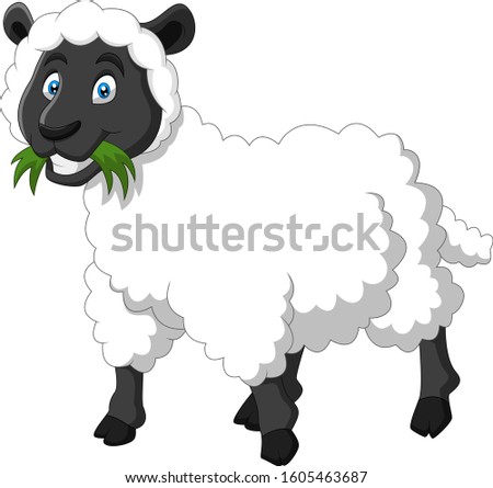 Cute sheep is eating grass