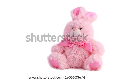 Pink Plush Easter Bunny isolated on white background.