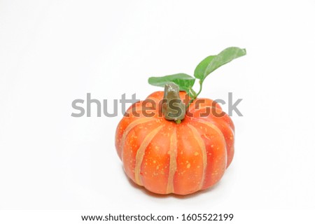 One pumpkin on a white background