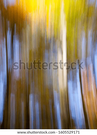 Autumn trees that were photographed out of focus vertically.