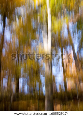 Autumn trees that were photographed out of focus vertically.
