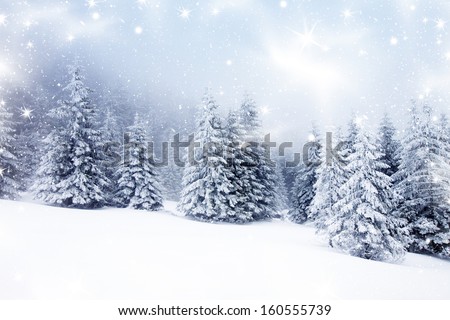 Christmas background with snowy fir trees Royalty-Free Stock Photo #160555739