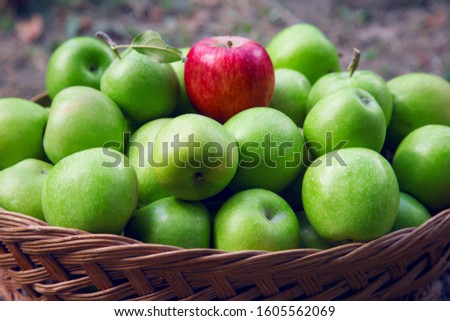One red apple in a group green apples in basket Royalty-Free Stock Photo #1605562069
