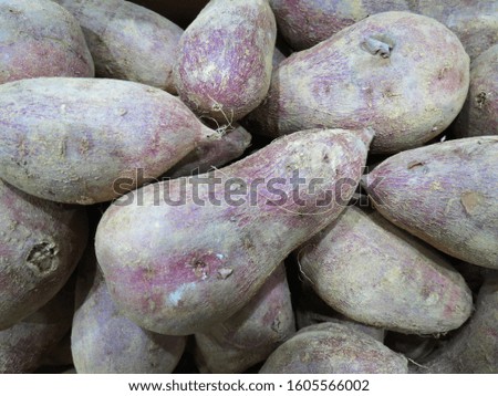 This is a picture of a sweet potato, full of soil, right after the harvest, and several sweet potatoes are gathered together.