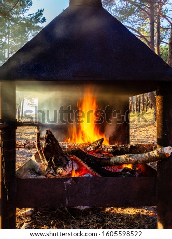 Close, detailed view of outdoor fireplace. Trees (forest) in the background. Smoke all around.