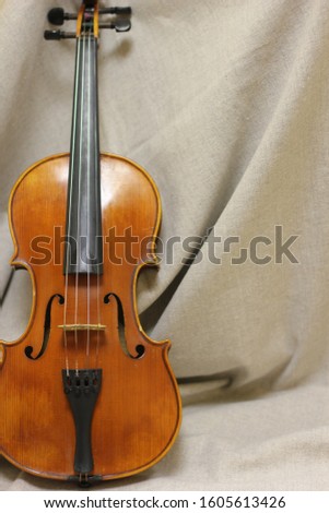 musical instrument violin on canvas background, color photo