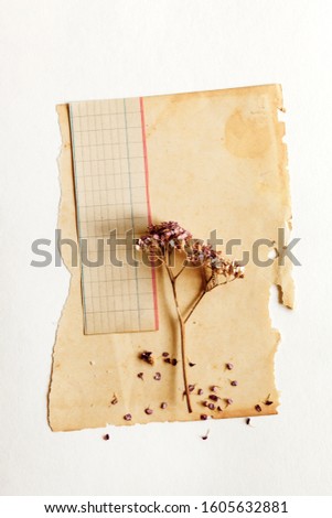 vintage old paper and flower