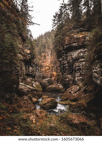river in forest in autumn