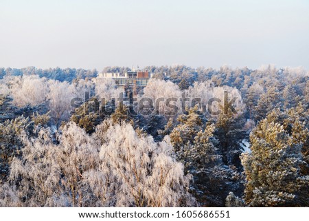 View of the hotel lost in a snowy forest in a mountainous area and covered in treetops