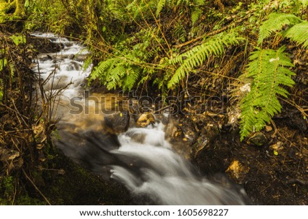 water stream with silk effect with rocks and moss
