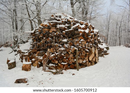 Big pile of beech firewood covered by snow  and hoarfrost in white wintertime forest