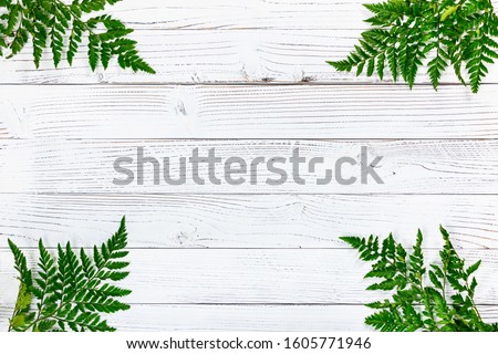 Green Fern Leaves or Leather Leaf on White Vintage Wooden Background. Design concept for mothers day, wedding and valentines day with copy space. Selective focus.