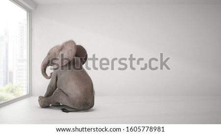 baby elephant sitting in room and  watching city Royalty-Free Stock Photo #1605778981