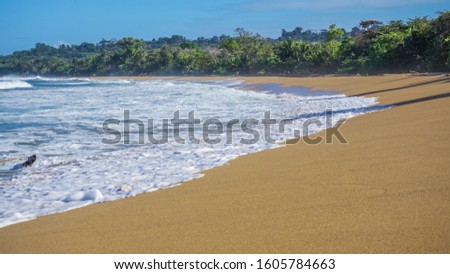 Tropical summer scenery of an island with a sandy beach and white foam made by waves of the Caribbean sea. Long empty beach during a beautiful sunny day and lush jungle vegetation in the background.  