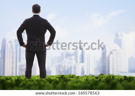 Rear view of businessman with hands on hips standing in green field and looking at the city skyline