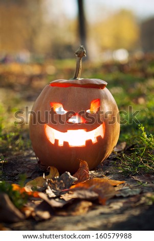 halloween jack-o-lantern standing on path