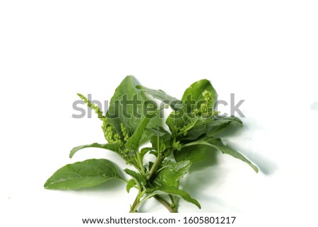 Picture of spinach / Amaranthus spp. leafs that usually used for cooking. Shoot on a white isolated background.