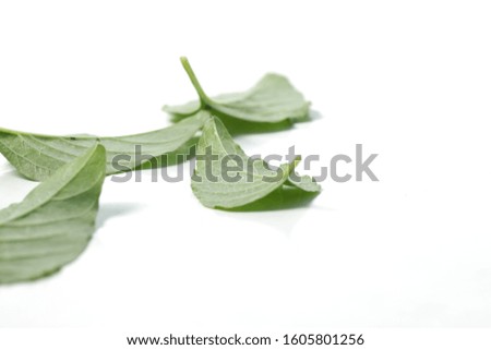 Picture of spinach / Amaranthus spp. leafs that usually used for cooking. Shoot on a white isolated background.