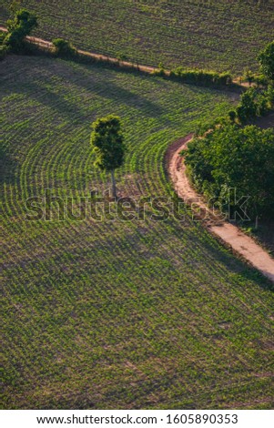 Road view from above with tree in the countryside asian / Aerial view over mountain road going through forest landscape and agricultural area