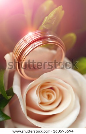 Gold wedding rings on flower . Decorating the  ceremony. 