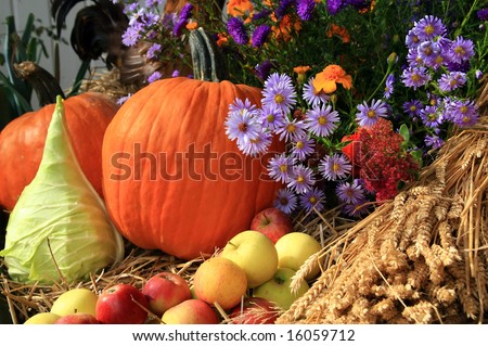 autumn arrangement Royalty-Free Stock Photo #16059712