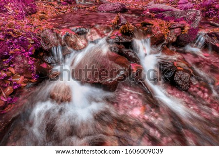 Mountain creek in the fall infrared