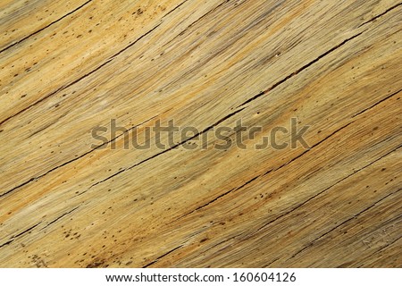 Wood of and old tree exposed - Wood Background and Texture  - Cracked lines and pattern of dried, classic Hardwood