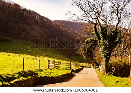 Country road with farmland, hills and trees in England