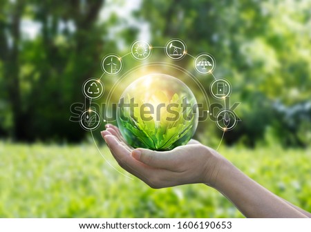 Hands protecting globe of green tree on tropical nature summer background, Ecology and Environment concept Royalty-Free Stock Photo #1606190653