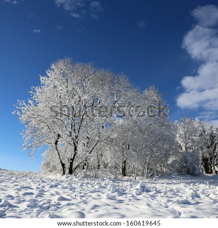 beautiful winter landscape - square background
