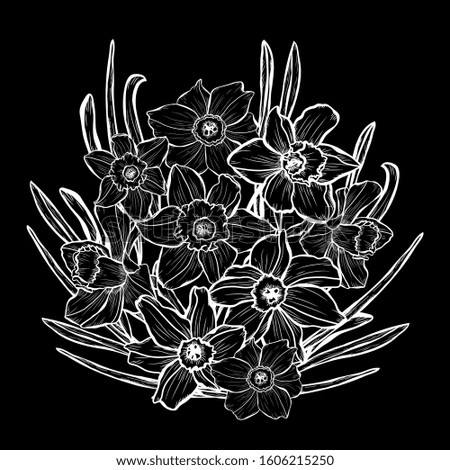Decorative hand drawn daffodil  flowers, design elements. Can be used for cards, invitations, banners, posters, print design. Floral background in line art style