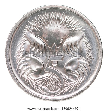 Five Australian cents coin depicting a echidna mammal isolated on white background