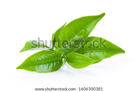 green tea leaf isolated on white background Royalty-Free Stock Photo #1606300381