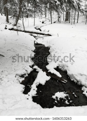 Stunning little Creek running through a hiking trail! Partially frozen
