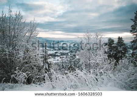Sunrise, sunset picture in winter, in Scandinavia. Snowie mountains and trees. Travel photography, copy space.