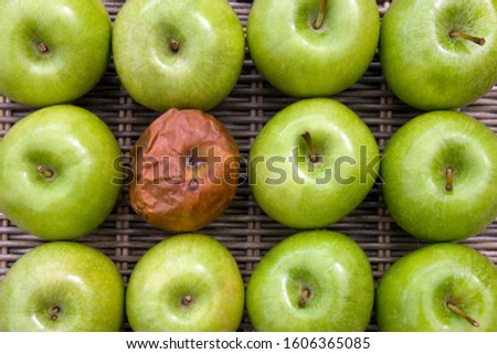One bad apple - one rotten apple in a group of a dozen apples. Royalty-Free Stock Photo #1606365085