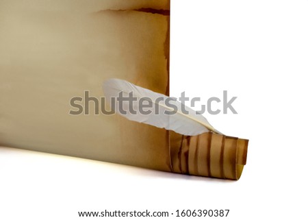 
Old scroll and goose feather on a white background