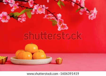 Chinese character means fortune and luck.Accessories on Lunar New Year & Chinese New Year holiday concept background.Orange in wood plate with gold money and pink flower on modern red paper & space.