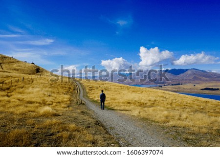        solo hiker trekking New Zealand beautiful landscape                        