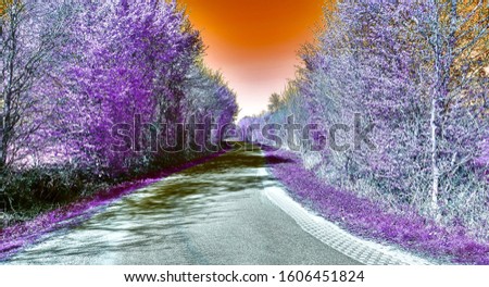 Beautiful purple infrared shot of a road in a landscape enviroment