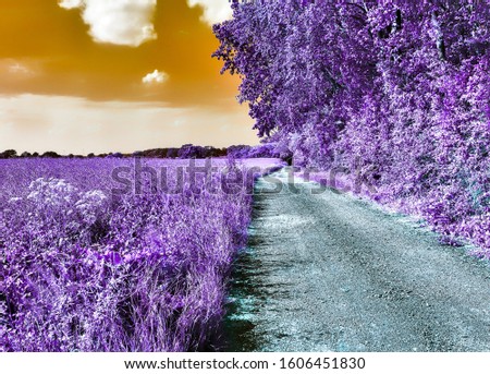 Beautiful purple infrared shot of a road in a landscape enviroment