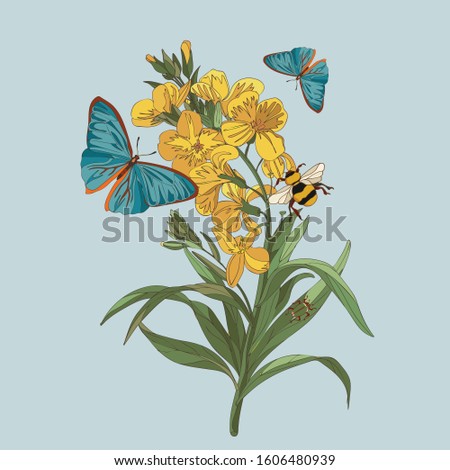 Botanical illustration with elements of wildflower, butterfly, bee, beetle